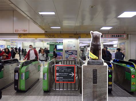Tokyu Railways operates a train from <b>Shibuya</b> to Nihon-Odori every 10 minutes. . Shibuya station